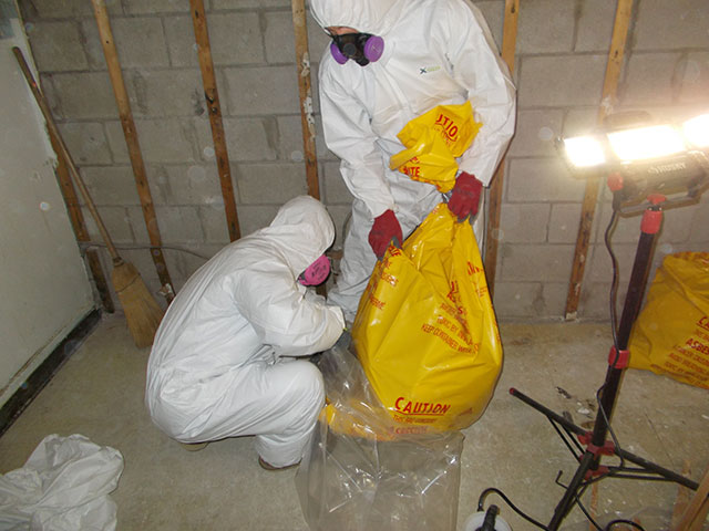 asbestos-removal-lake-macquarie-morisset-hunter-region-newcastle-nsw