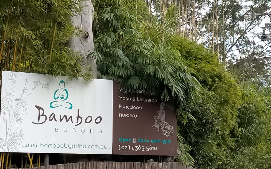 Bamboo-Buddha-Restaurant-and-Retreat-Central-Coast-Xero-users-ADI-Insights-LightSpeedKounta-Online-Xero-Courses-4